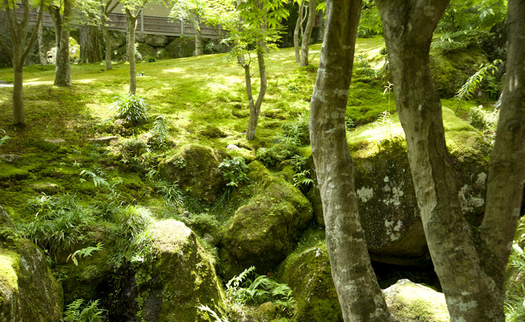 箱根のスイーツ