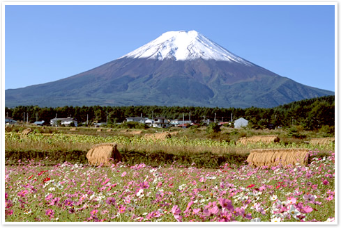 北陸・甲信越の慰安旅行おすすめの行き先