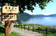 田沢湖