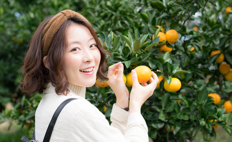 1泊2日大人数旅行プラン