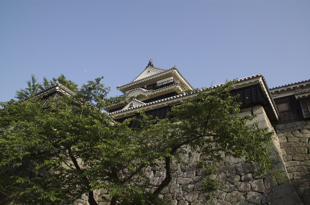 愛媛県の松山城