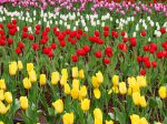 3月にオススメ社員諸侯