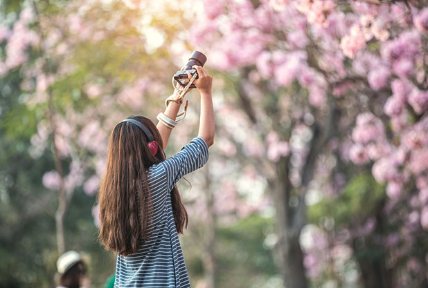 4月の社員旅行ならここ！編集部厳選、春にオススメお花見社員旅行