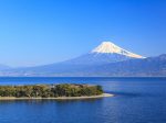 5月の社員旅行にオススメ静岡