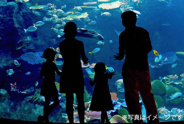 ワイキキ水族館のイメージ