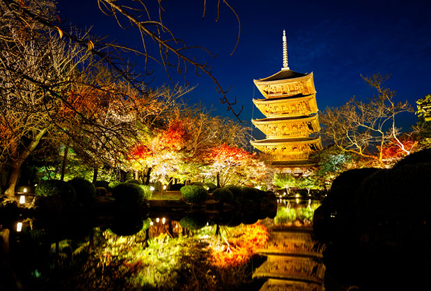 東寺のライトアップ