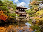 11月社員旅行にオススメは京都