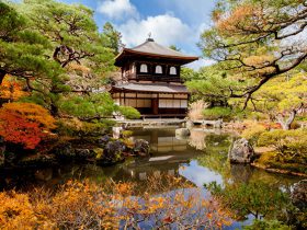 11月社員旅行にオススメは京都