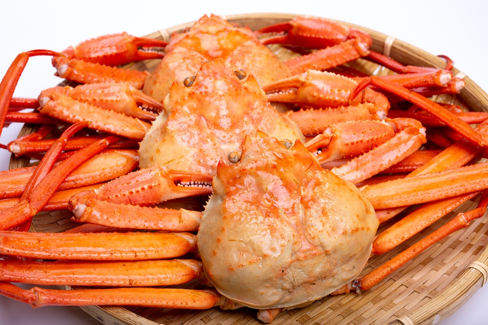 紅ズワイガニはリーズナブル！