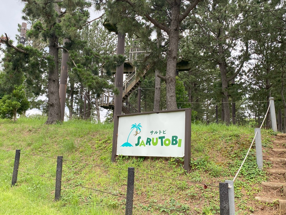 サルトビ