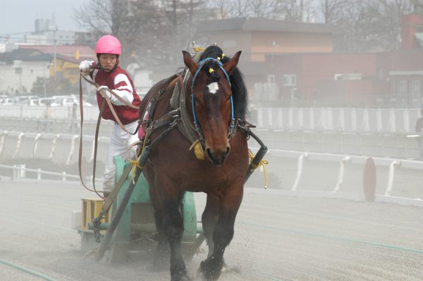 ばんえい競馬(C)帯広市