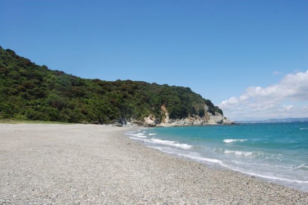 和歌山No.1の美しいビーチが広がる無人島を貸切！「地ノ島」のプラン・予算は？
