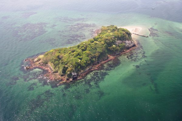 猿島全景