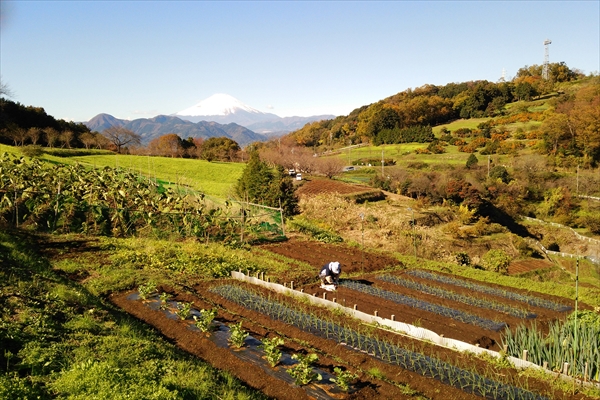 社内イベント・社員旅行_農作業体験_里山シェア