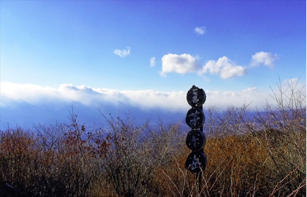 社員旅行_サクラリゾート_登山