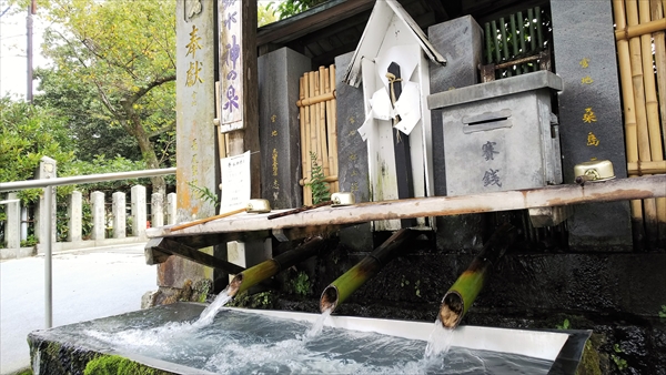 熊本復興_社員旅行_阿蘇神社