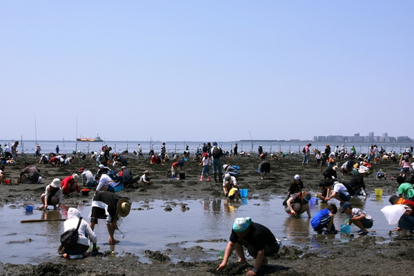 船橋3番瀬で潮干狩り