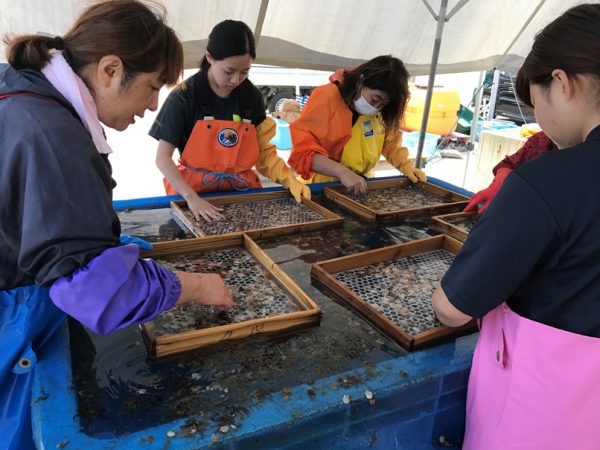 昼食後に作業再開