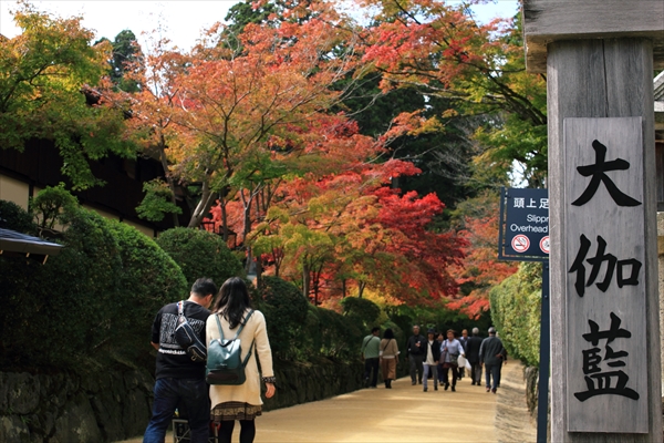 社員旅行_高野山