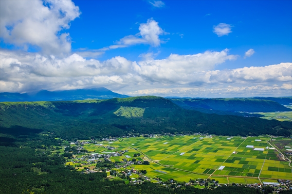 社員旅行_熊本復興