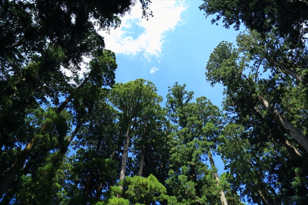 社員旅行_高野山