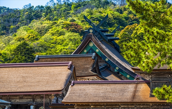 社員旅行_出雲大社_出雲_島根社員旅行