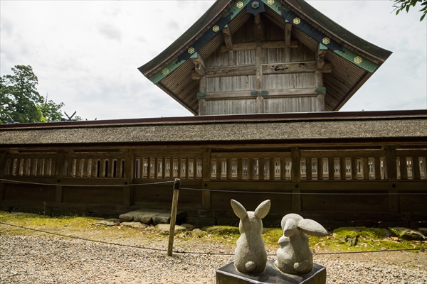 社員旅行_出雲大社_出雲_島根社員旅行