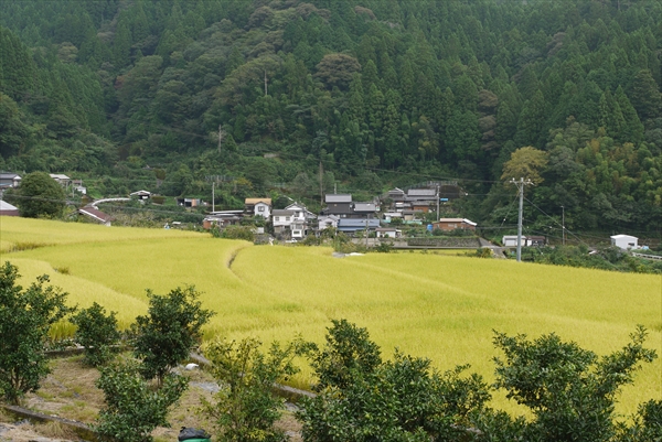 社員旅行_地域活性_視察_馬路村