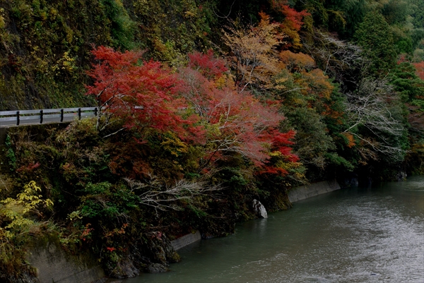 社員旅行_地域活性_視察_馬路村