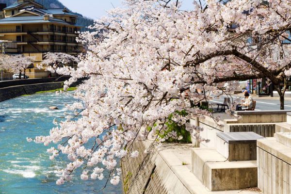 桜の季節のあつみ温泉