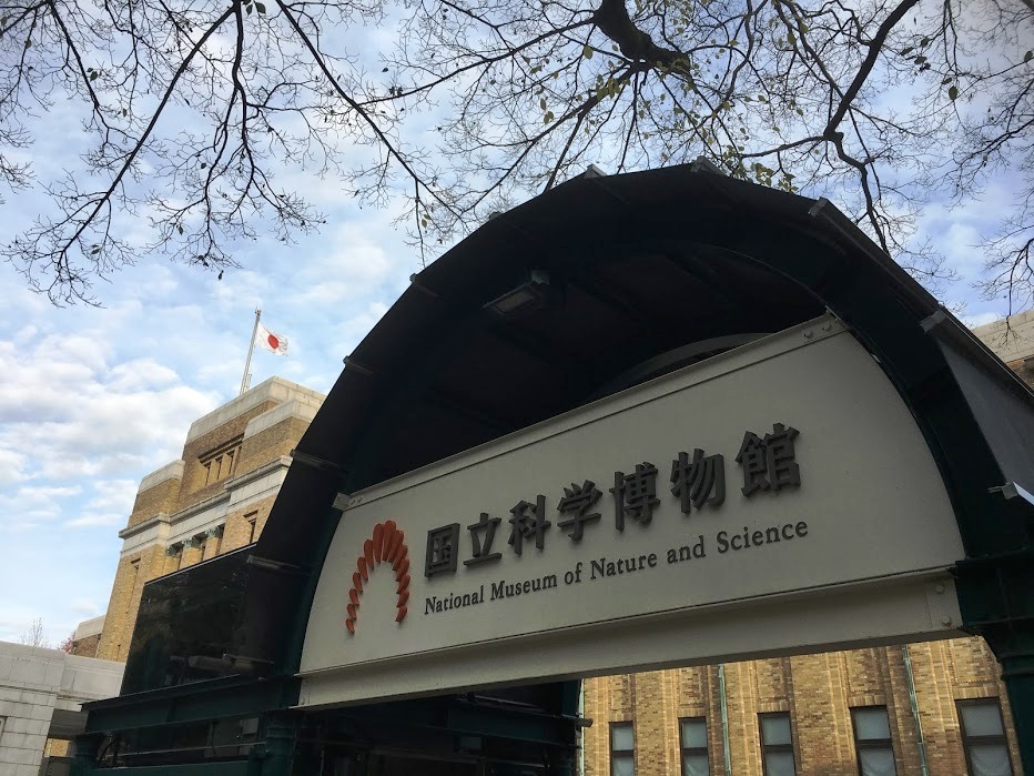 国立科学博物館