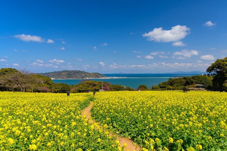 能古島（福岡）