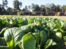 企業視察におすすめの｛The Farm)