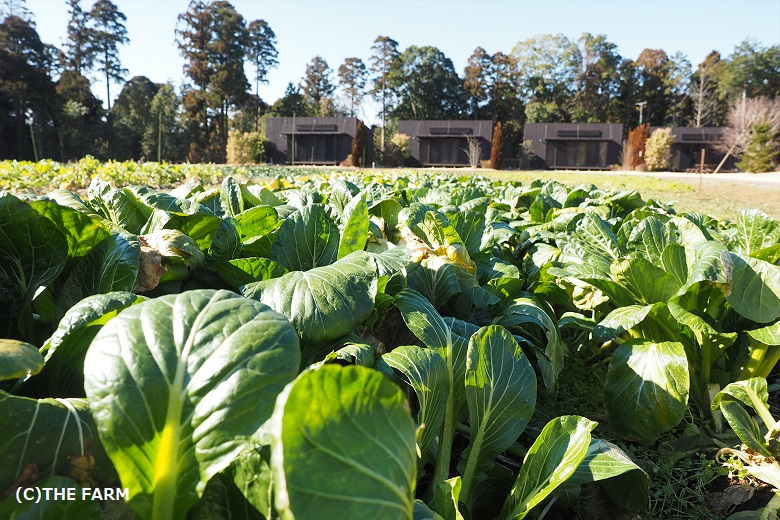 企業視察におすすめの｛The Farm)