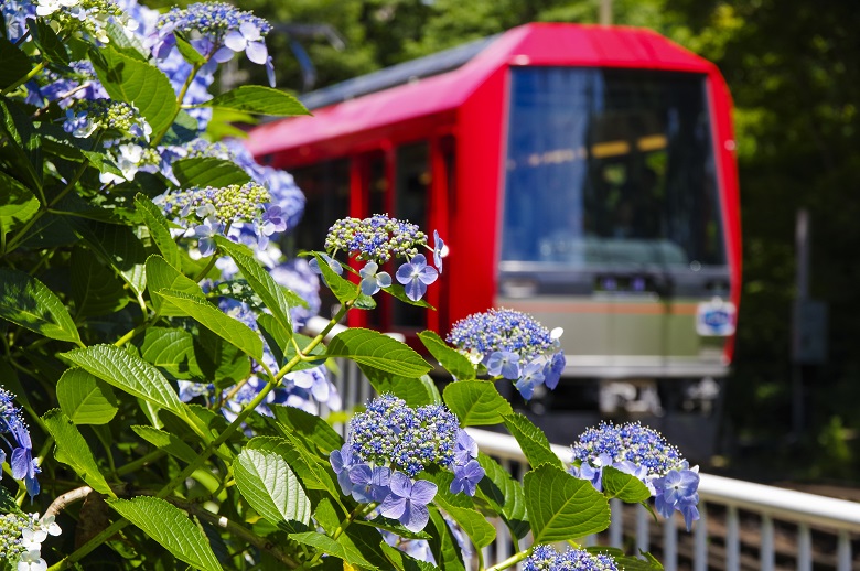 箱根登山電車