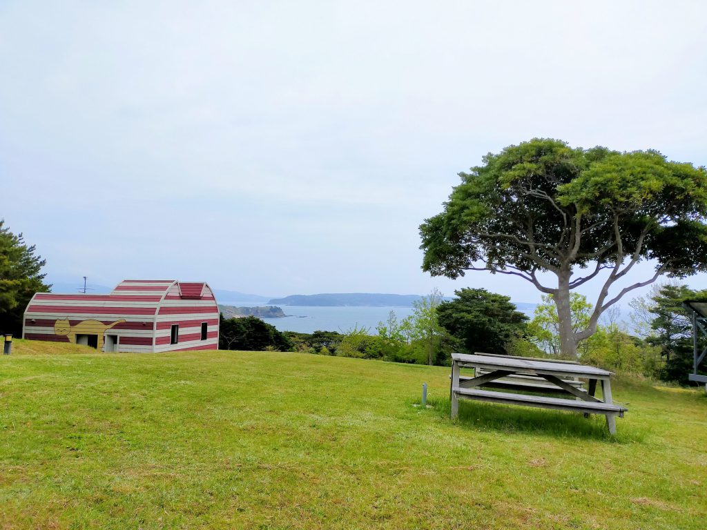 【連載1】家族連れ職場旅行やワーケーションにおすすめの田代島「マンガアイランド」〜猫と釣りとマンガと仕事〜