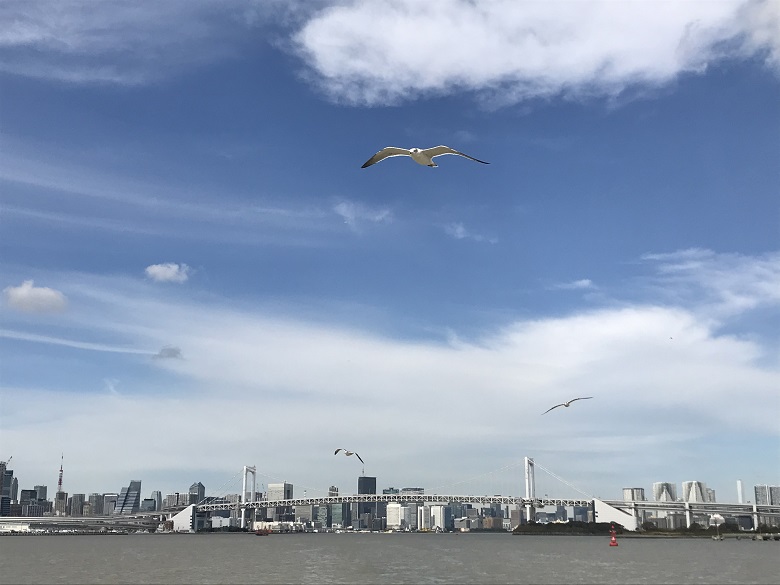 社内イベントにクルーズを楽しもう